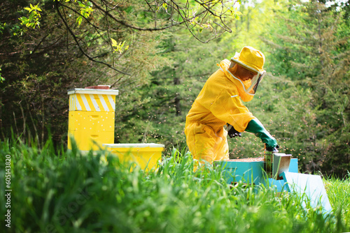 Young beekeeper checking frames and caring for hives. photo