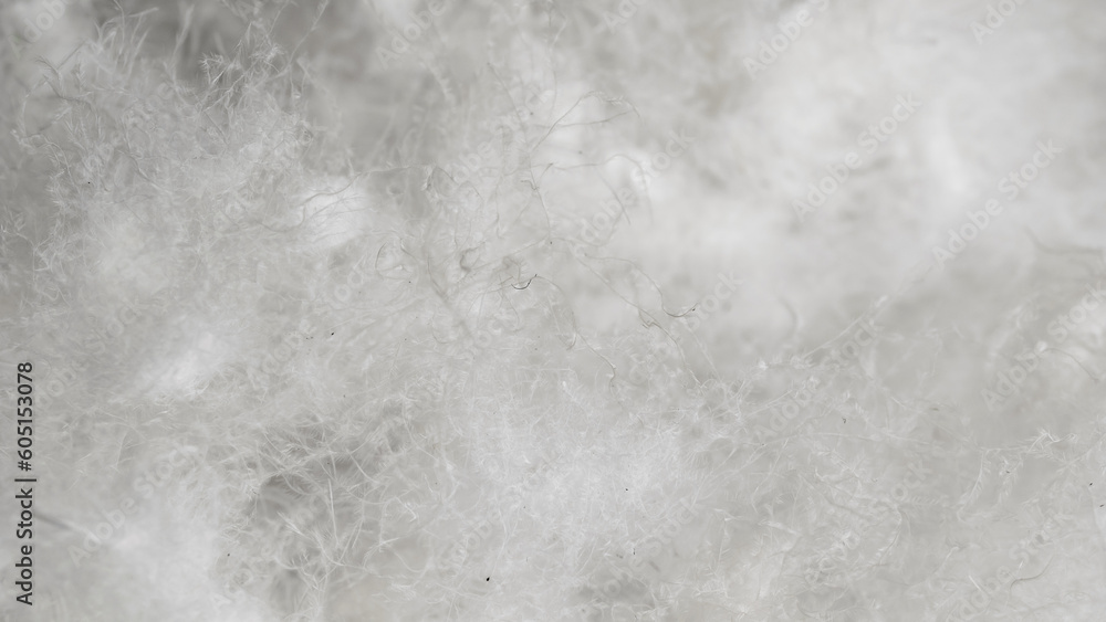 white goose down on a black background white goose down on a black background