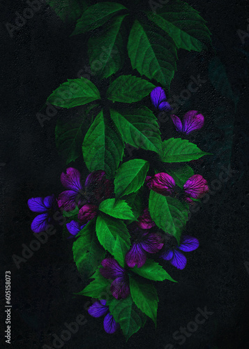 Purple flowers and green leafes on dark background decay in shadows behind wet, condesated glas while water drops flowing down (ID: 605158073)