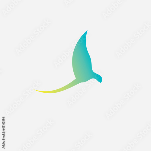 bird logo design