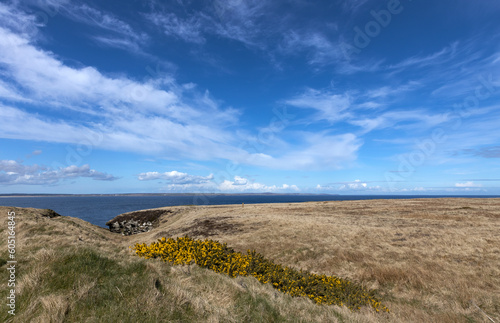 Landscapes and grass at Nose head at nothern scottish coast. Scotland. Northsea coast. Clouds. Sky. 