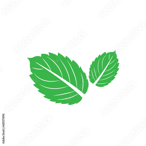 Mint leaf logo icon