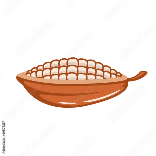 Cocoa beans isolated on white background. Logo template. Cacao beans. Design elements. Vector illustration