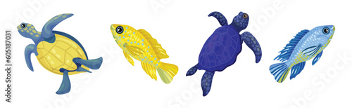 Tropical Turtle Reptile and Fish for Freshwater and Saltwater Aquarium Vector Set