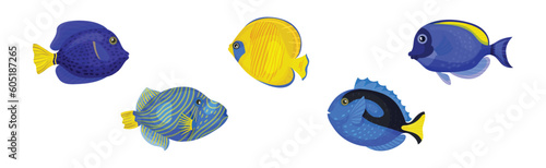 Tropical Fish for Freshwater and Saltwater Aquarium Vector Set