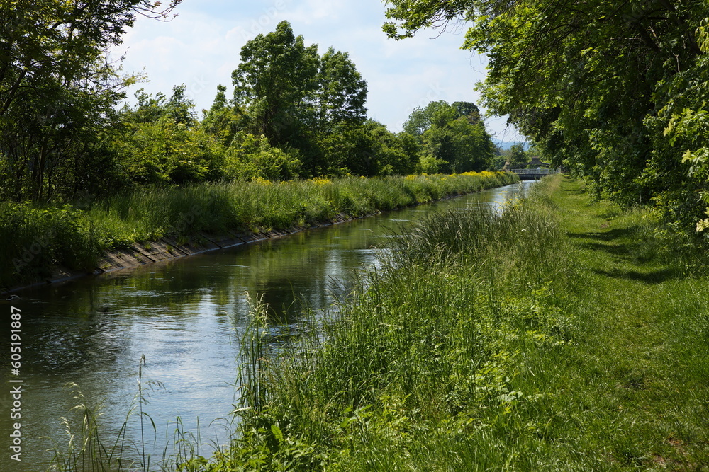 Nature at the creek Kehrbach in Akademiepark, Wiener Neustadt, Lower Austria, Austria, Europe, Central Europe
Nature at the creek Kehrbach in Akademiepark, Wiener Neustadt, Lower Austria, Austria, Europe, Central Europe