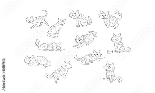 長毛猫のペン画スケッチイラスト