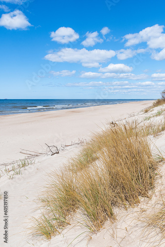 Walking on the Baltic Sea in Palanga  Klaipeda  Lithuania  with waves  cloudy sky  white sandy beach and dunes with reeds and pine tree forest  vertical