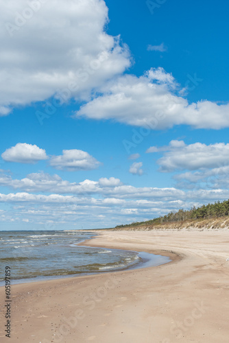Fototapeta Naklejka Na Ścianę i Meble -  Beautiful sandy beach with dry and yellow grass, reeds, stalks blowing in the wind, blue sea with waves on the Baltic Sea in Palanga, Klaipeda, Lithuania, vertical