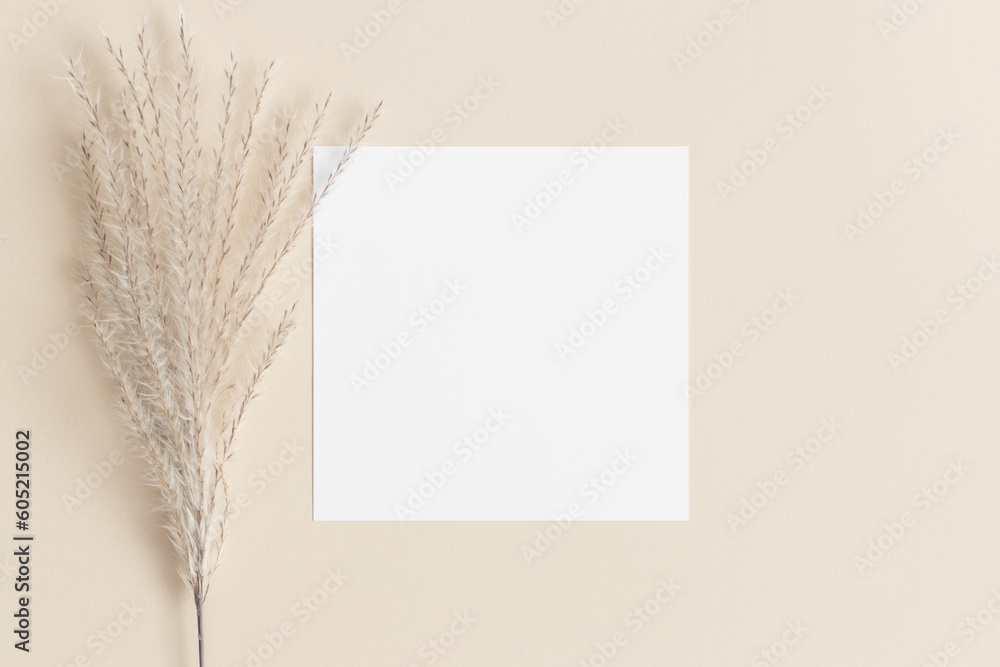 Square invitation card mockup with a reed pampas on the beige table. Square invitation card mockup with a reed pampas on the beige table.