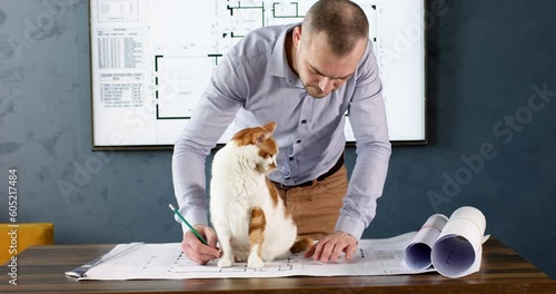 Engineer in office clothing corrects latest building drawing using pencil against wall with floor plan. Bearded man caresses white-red cat sitting near on table photo