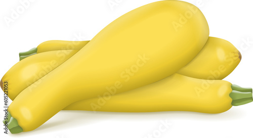 Group of StraightNeck or Straight Neck. Summer squash. Cucurbita pepo. Fresh, organic, raw fruits and vegetables. Vector illustration isolated on white background.