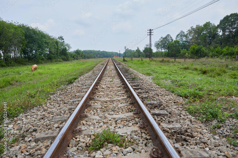 Empty railroad tracks against the green lawn Empty railroad tracks against the green lawn