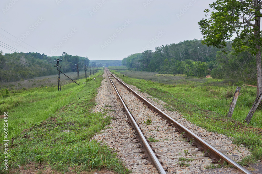 Empty railroad tracks against the green lawn Empty railroad tracks against the green lawn