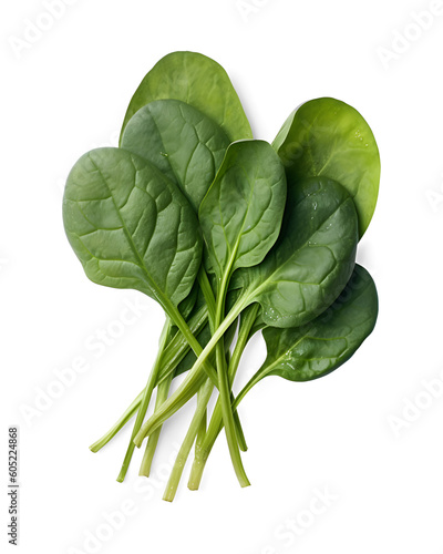 Bundle of fresh spinach isolated on transparent and white background, top view. Png transparent.