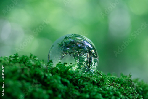 エコイメージ 森林 ガラスの地球