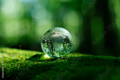 エコイメージ 森林 ガラスの地球