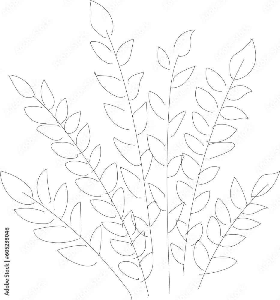 foliage
bush
black and white foliage
bush
black and white