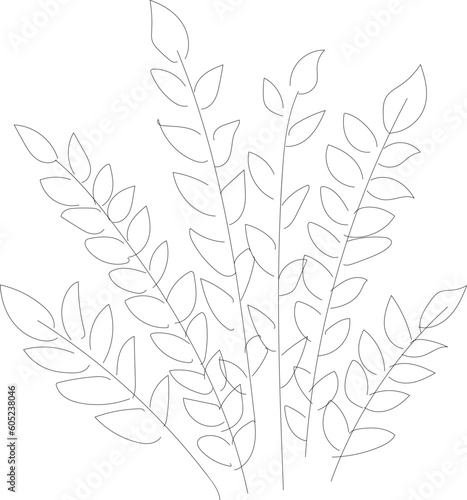 foliage bushblack and white