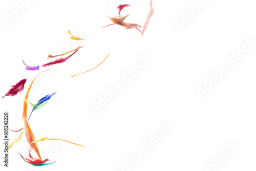 Many color Feather fly fall beautiful spiral pattern in air over black background isolated. Puffy Fluffy soft feathers like dream floating dove in sky. Colorful feathers are so light and delicate