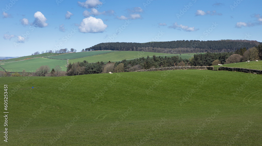 Hills south of Edinburg Scotland. Meadows. 