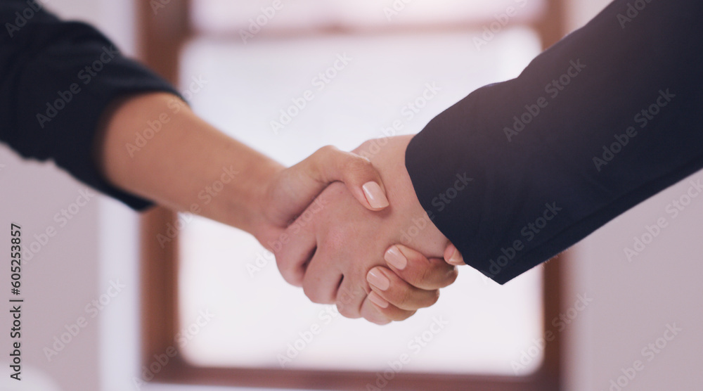 Business people, handshake and agreement to deal, partnership or b2b negotiation closeup. Professional woman shaking hands for a client thank you, congratulations or hiring employee as HR partner