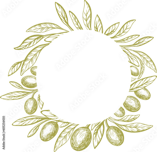 Olive circle pattern. Vector green branch, texture leaves and oil fruit. Mediterranean background. Extra virgin food