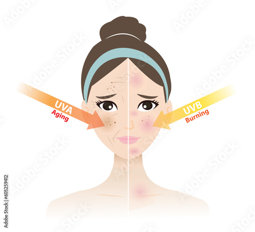 Comparison of damaged skin from UVA and UVB rays on woman face vector illustration on white background.