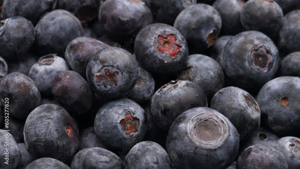 fresh blueberries, rotation in circle. blueberry background, Turning. selective focus. fresh blueberries, rotation in circle. blueberry background, Turning. selective focus.