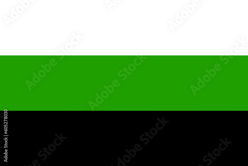 Neutrois Pride Flag. People who identify as gender neutral