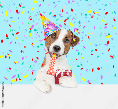 Canvas Print Jack russell terrier puppy wearing a party cap blows into party horn and holds g