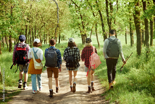 Tableau sur toile Active, sportive young people, friends going hiking with backpacks in forest on warm spring day, walking on path, enjoying landscapes