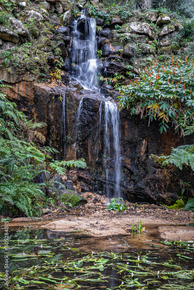 Waterfall in beautiful gardens of Monserrate Park, green ferns and plants, like in a jungle rainforest
