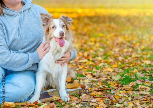 Woman hugs her border collie dog at autumn park. Empty space for text