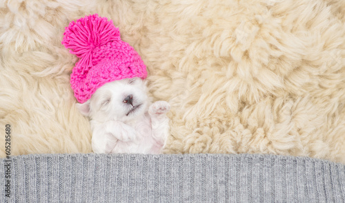 Tiny white lapdog puppy wearing warm hat sleeps under warm blanket on a bed at home. Top down view. Empty space for text