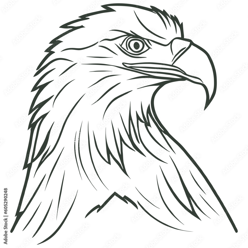 Eagle Head Vector Isolated on White Background.
