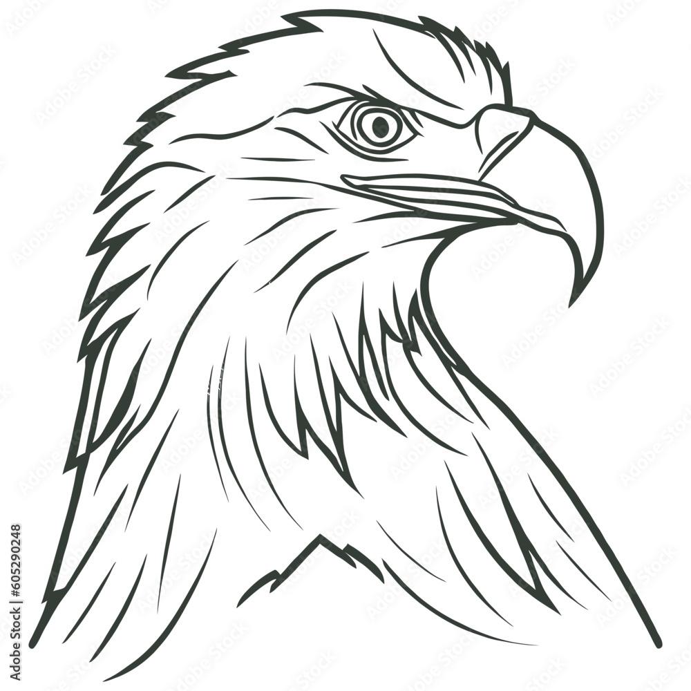 Eagle Head Vector Isolated on White Background. Eagle Head Vector Isolated on White Background.