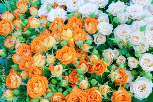 Closeup of a beautiful bouquet of orange and white roses