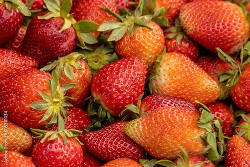 Image of a vibrant pile of ripe red strawberries