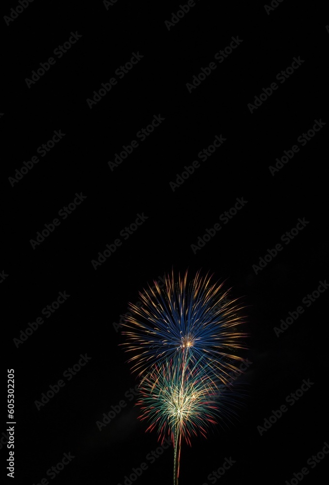Vertical shot of skyrockets exploding in the night sky on the Fourth of July. Vertical shot of skyrockets exploding in the night sky on the Fourth of July.