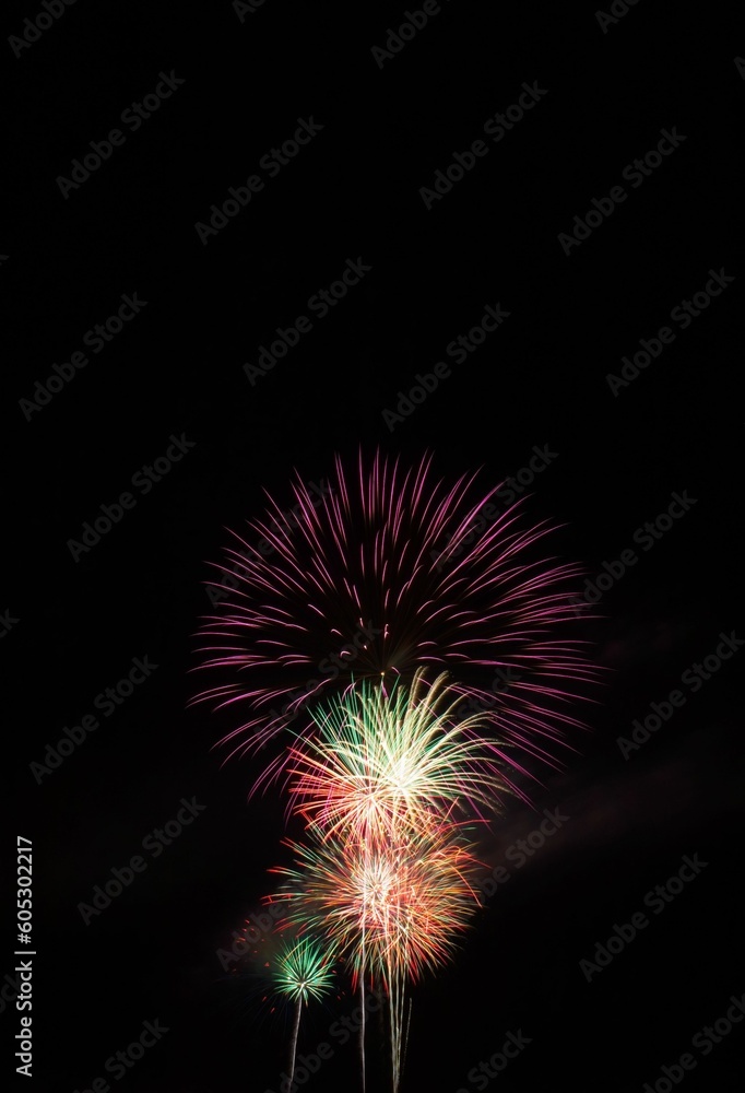 Vertical shot of skyrockets exploding in the night sky on the Fourth of July. Vertical shot of skyrockets exploding in the night sky on the Fourth of July.