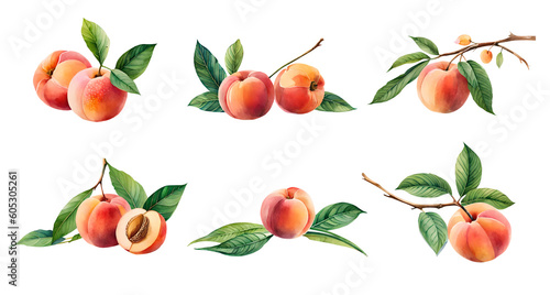 Set of watercolour peaches. Generative Ai photo