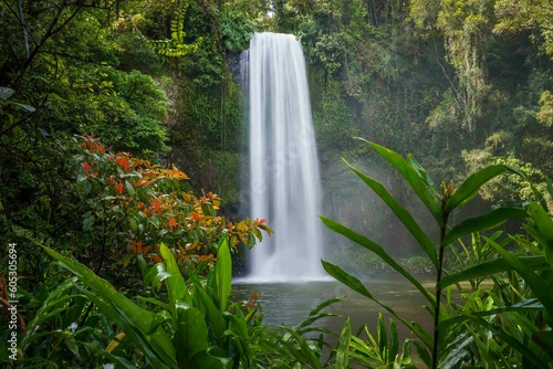 Beautiful view of Millaa Millaa Falls cascading down, Atherton Tablelands of North Queensland photo
