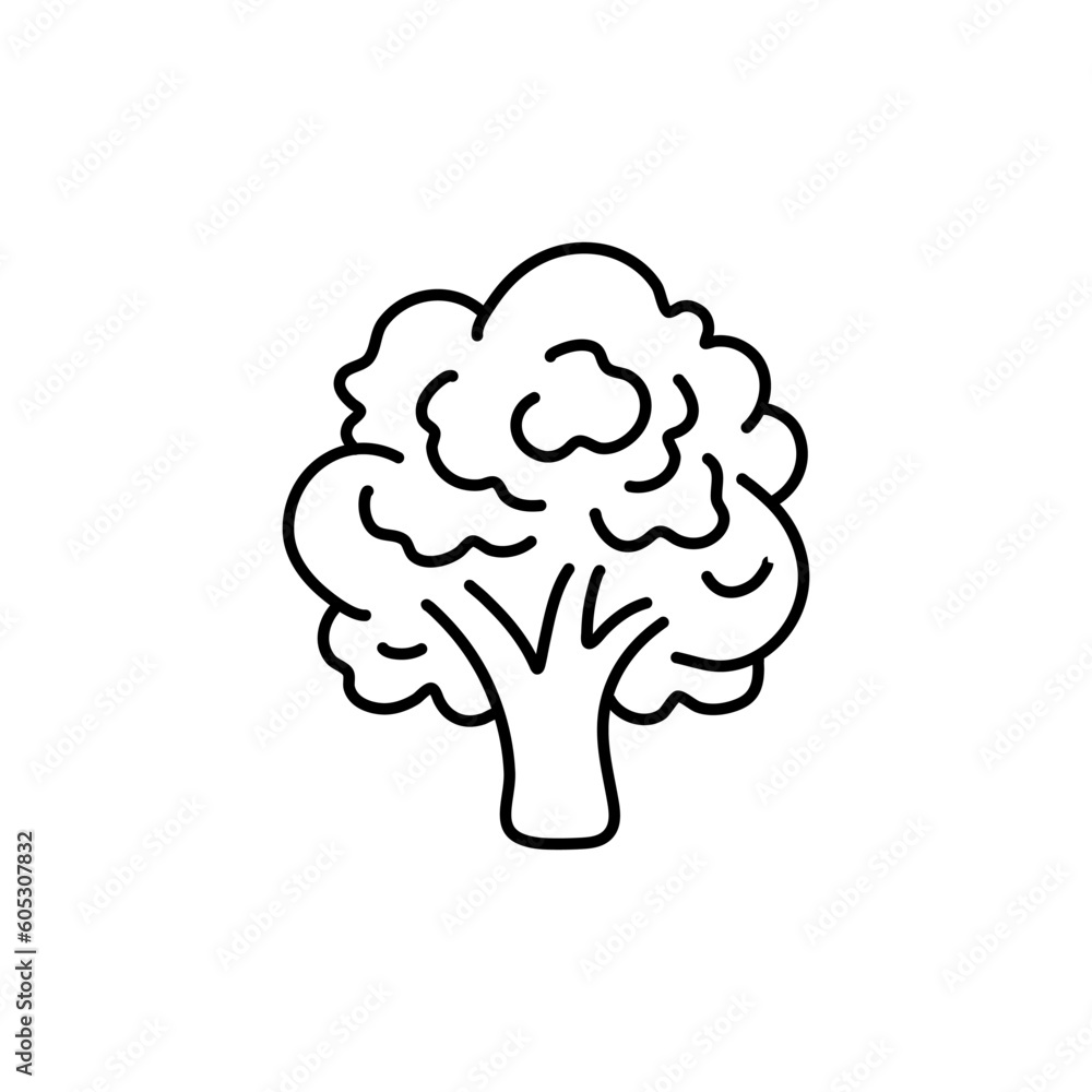Hand drawn broccoli icon. Vector badge vegetable in the old ink style for brochures, banner, restaurant menu and market Hand drawn broccoli icon. Vector badge vegetable in the old ink style for brochures, banner, restaurant menu and market