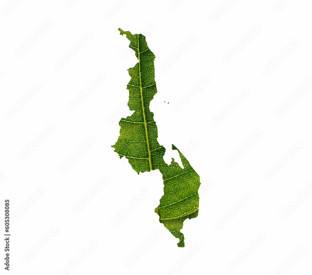 Illustration of a green leaf in a shape of a map isolated on the white background