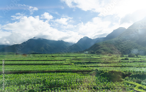 Green fields at the foot of mountain