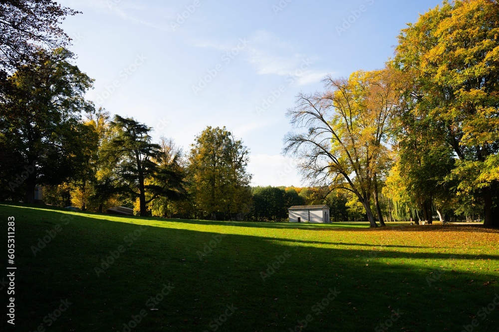 Obraz premium Scenic shot of an autumn park and a building in the distance under the blue sky