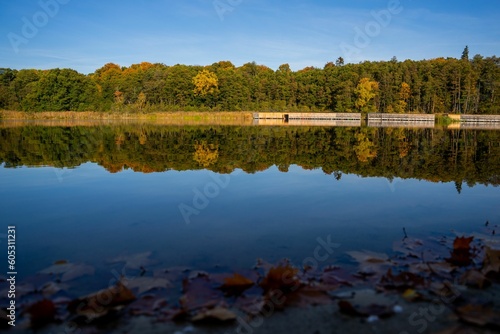 Reflection of the colorful trees of an autumn park on the still lake under the blue sky