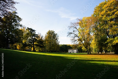 Scenic shot of an autumn park and a building in the distance under the blue sky