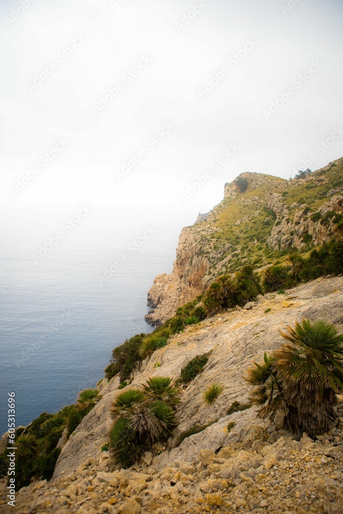 Vertical shot of a coastal cliff